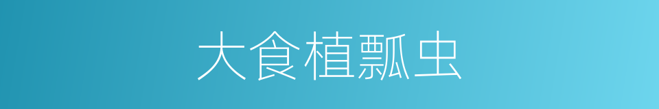 大食植瓢虫的同义词