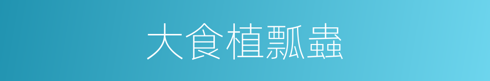 大食植瓢蟲的同義詞