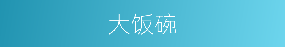 大饭碗的同义词