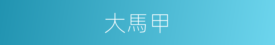 大馬甲的同義詞