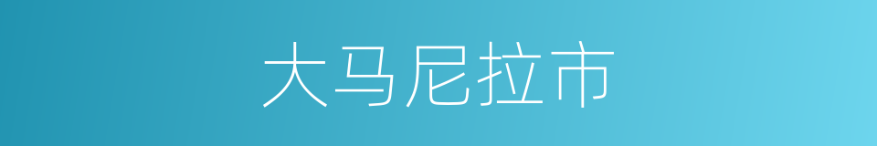 大马尼拉市的同义词