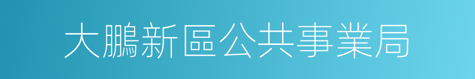 大鵬新區公共事業局的同義詞