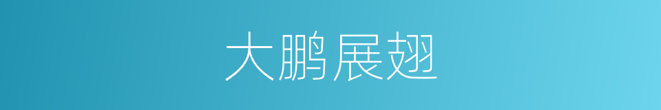 大鹏展翅的意思
