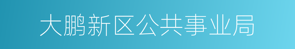 大鹏新区公共事业局的同义词