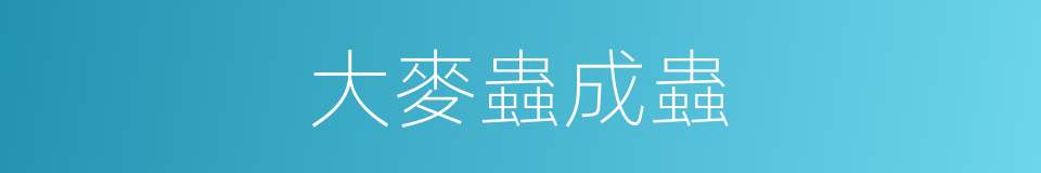 大麥蟲成蟲的同義詞