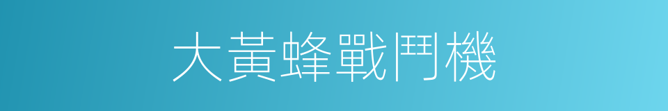 大黃蜂戰鬥機的同義詞