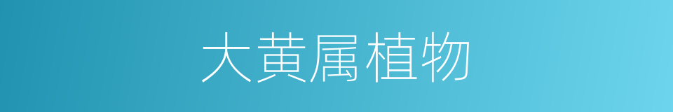 大黄属植物的同义词