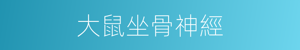 大鼠坐骨神經的同義詞