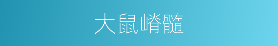 大鼠嵴髓的同义词