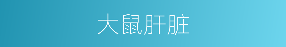 大鼠肝脏的同义词