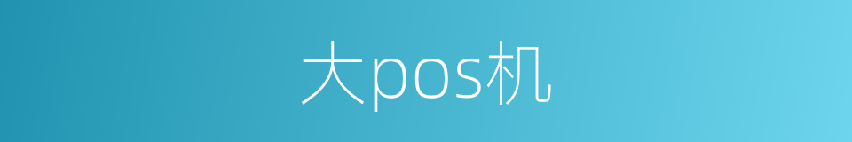 大pos机的同义词