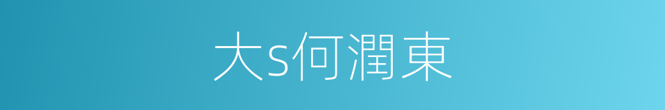 大s何潤東的同義詞