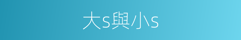 大s與小s的同義詞