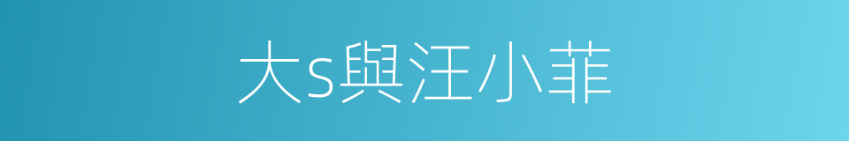 大s與汪小菲的同義詞