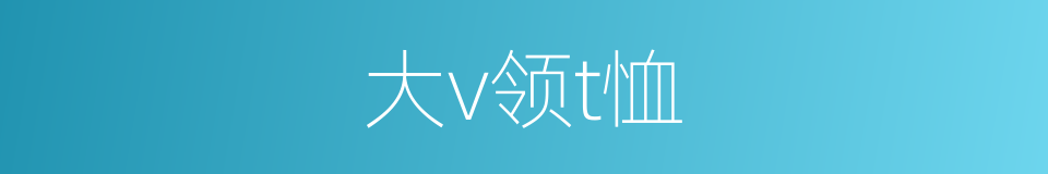 大v领t恤的同义词