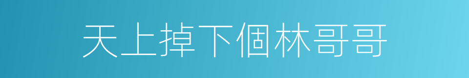 天上掉下個林哥哥的同義詞