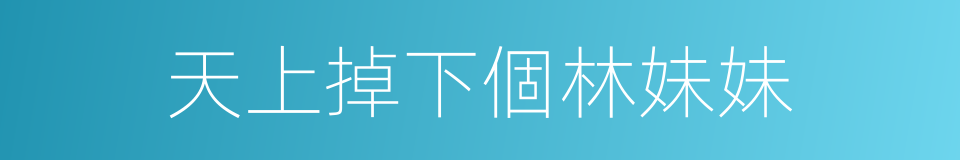 天上掉下個林妹妹的同義詞