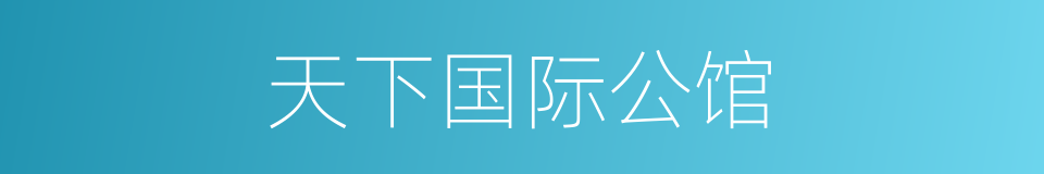 天下国际公馆的同义词