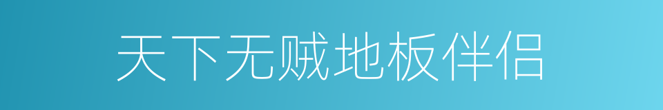 天下无贼地板伴侣的同义词