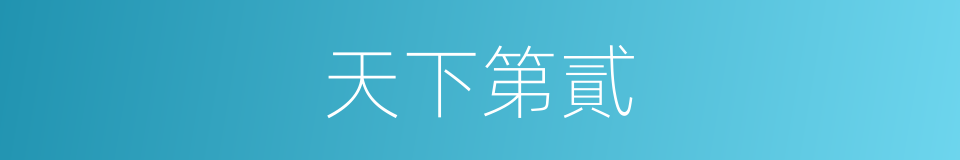 天下第貳的同義詞