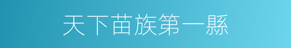 天下苗族第一縣的同義詞