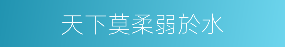 天下莫柔弱於水的同義詞