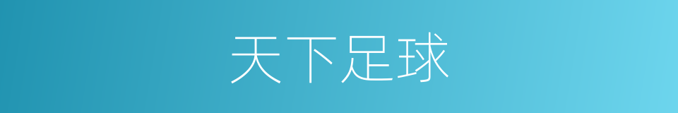 天下足球的同义词