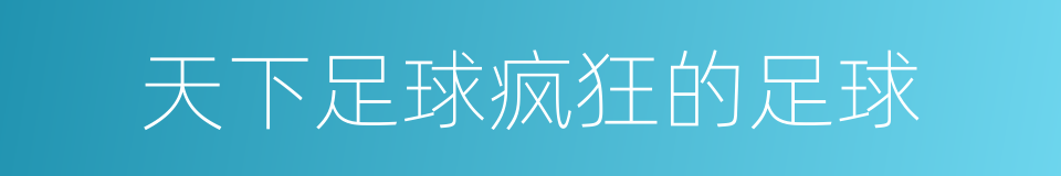 天下足球疯狂的足球的同义词