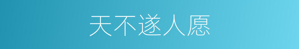 天不遂人愿的同义词