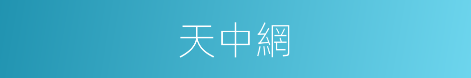 天中網的同義詞