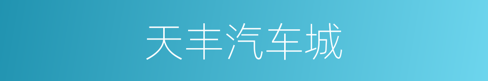 天丰汽车城的同义词