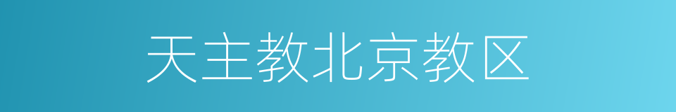 天主教北京教区的同义词