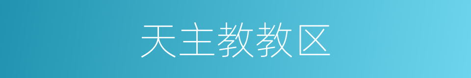 天主教教区的同义词