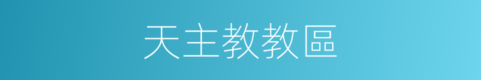 天主教教區的同義詞