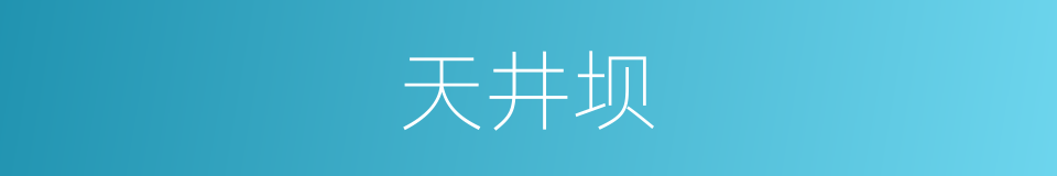 天井坝的同义词