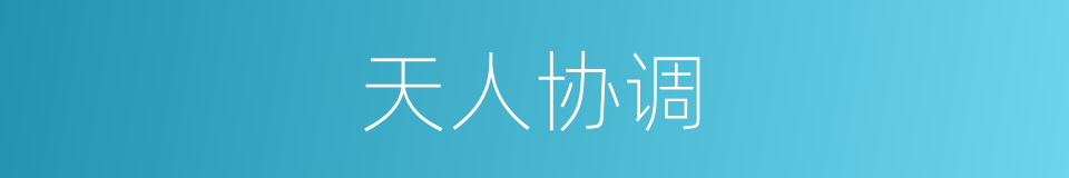 天人协调的同义词