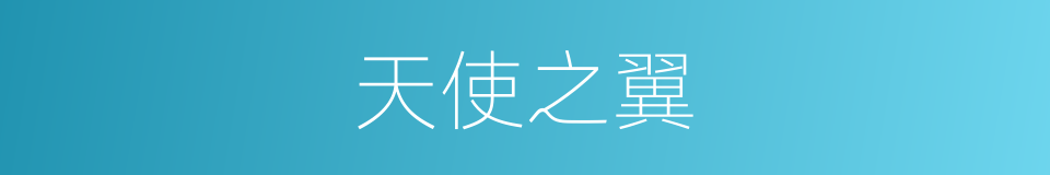 天使之翼的同义词