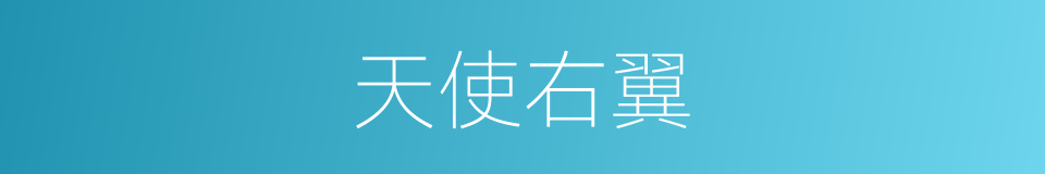 天使右翼的同义词