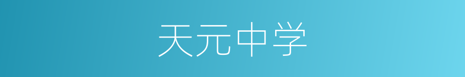 天元中学的同义词