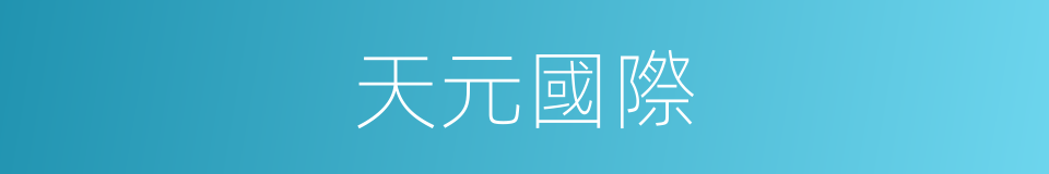 天元國際的同義詞