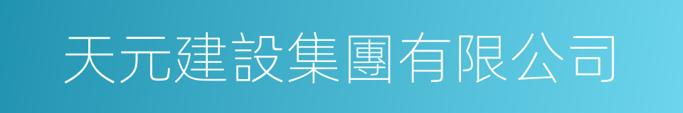 天元建設集團有限公司的同義詞