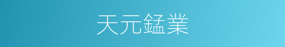 天元錳業的同義詞