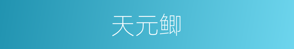 天元鲫的同义词