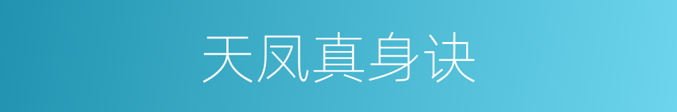 天凤真身诀的同义词