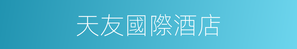 天友國際酒店的同義詞