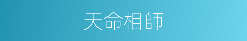 天命相師的同義詞