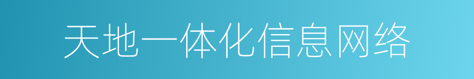 天地一体化信息网络的同义词