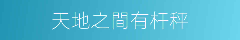 天地之間有杆秤的同義詞