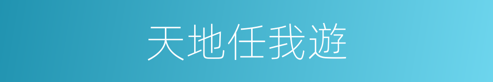 天地任我遊的同義詞