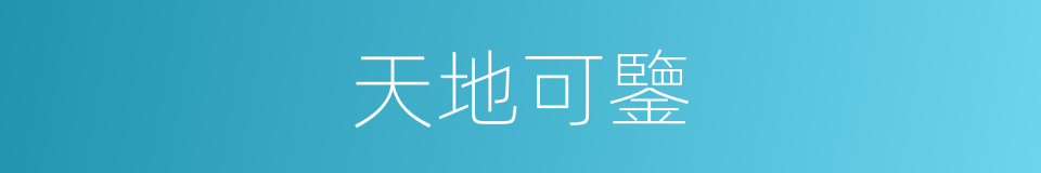 天地可鑒的同義詞